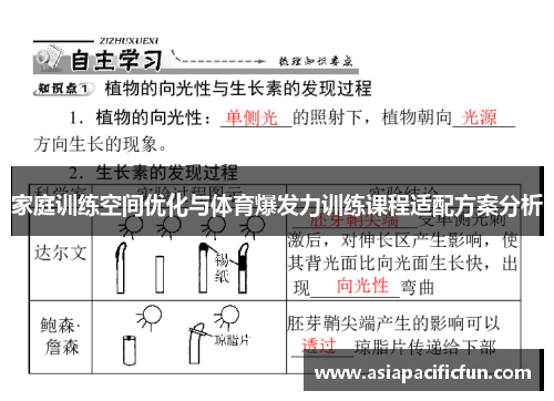 家庭训练空间优化与体育爆发力训练课程适配方案分析